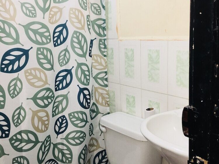 اتاق استاندارد, Hospedaje Miami