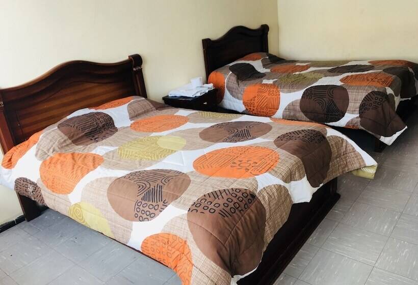 اتاق استاندارد, Hospedaje Miami