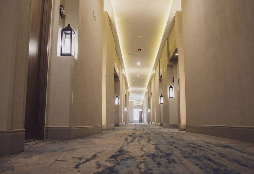 اتاق سوپریور با تخت بزرگ, Torre Lucerna Hotel Ensenada