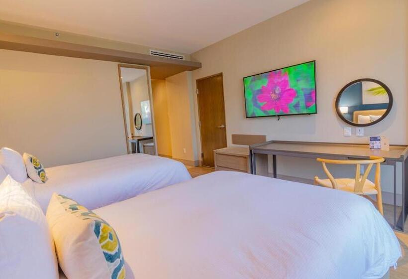 اتاق سوپریور, Torre Lucerna Hotel Ensenada