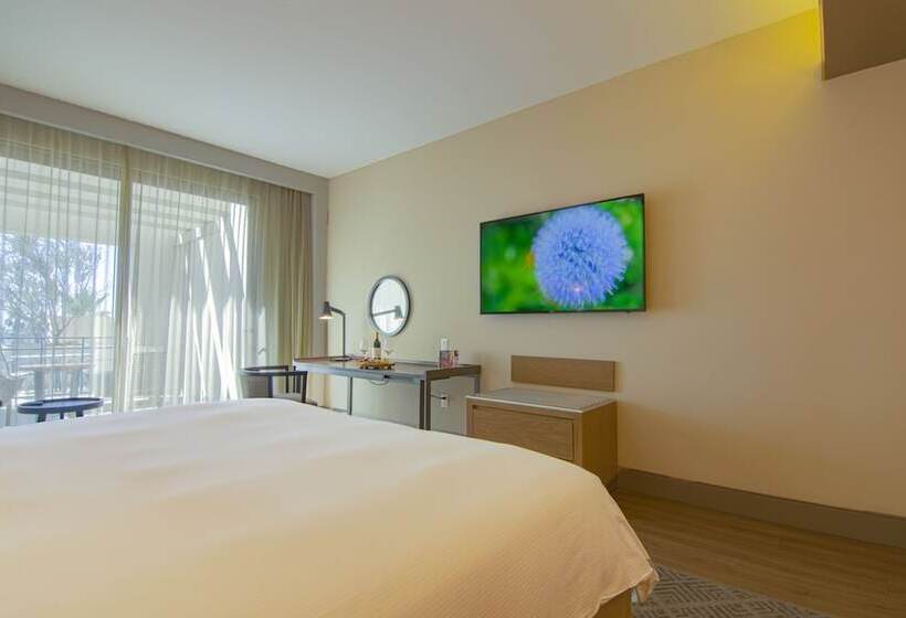 اتاق لوکس با تخت بزرگ, Torre Lucerna Hotel Ensenada