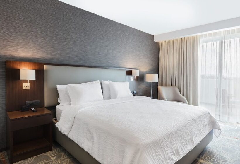 اتاق استاندارد با تخت دوبل, Hilton Garden Inn Salamanca