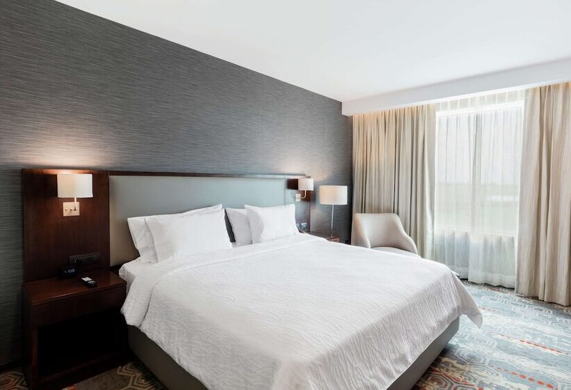 اتاق استاندارد با تخت دوبل, Hilton Garden Inn Salamanca
