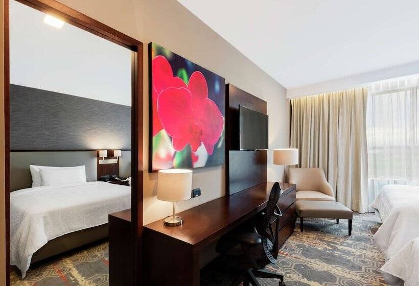 اتاق استاندارد با 2 تخت دوبل, Hilton Garden Inn Salamanca