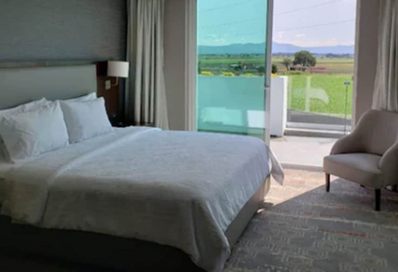 سوئیت با بالکن, Hilton Garden Inn Salamanca