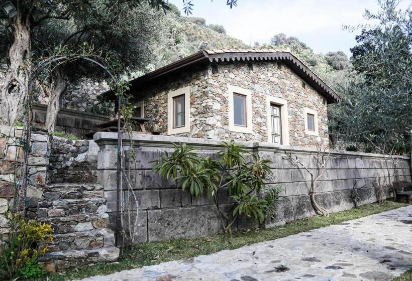 اتاق استاندارد با تخت بزرگ, Ngonia Bay Boutique