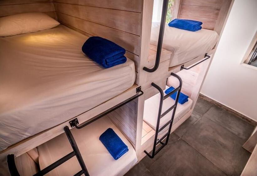 Кровать в Общей Комнате, Island Hostels