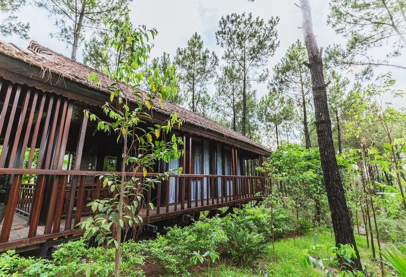 بانگلوی لوکس, Sankofa Village Hill Resort And Spa