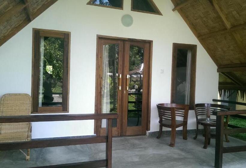 اتاق اکونومی, Villa Paradise