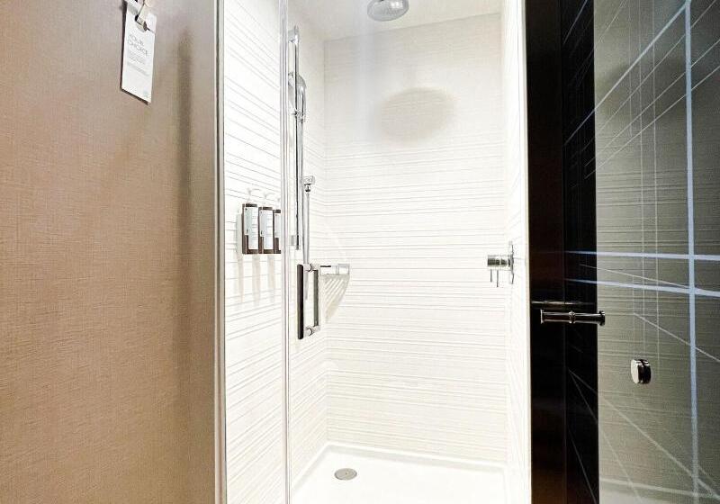 اتاق استاندارد با تخت بزرگ, Ac Hotel By Marriott Salt Lake City Downtown