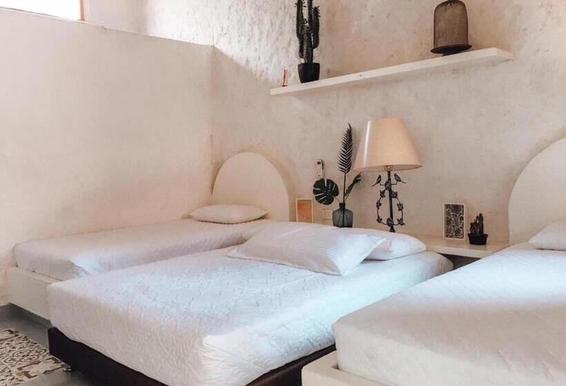 اتاق استاندارد, Infinito La Casona