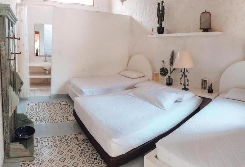 اتاق استاندارد, Infinito La Casona