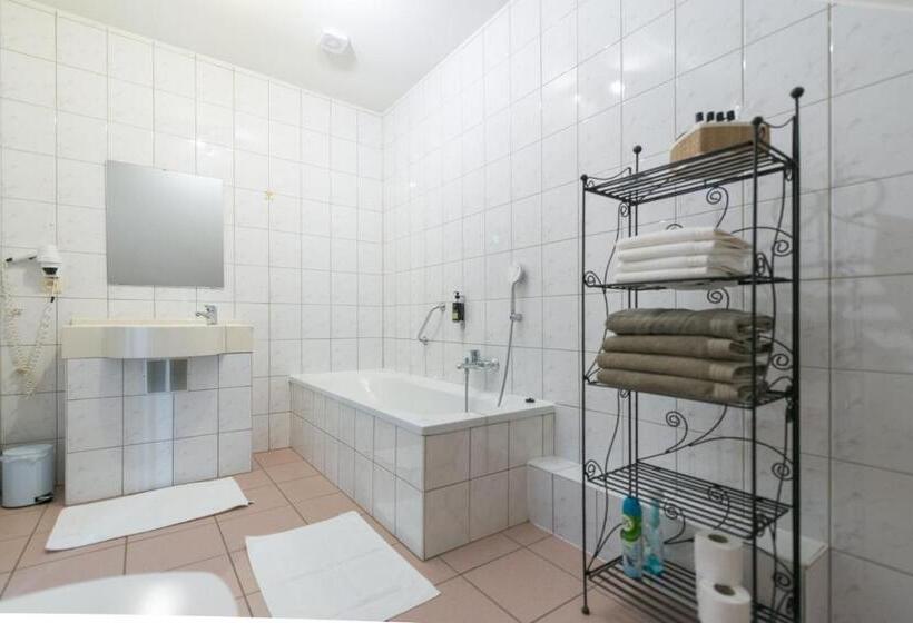 اتاق استاندارد چهار تخته, Auberge De La Lesse