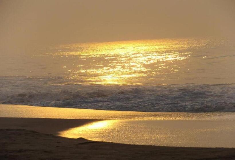 اتاق لوکس با تخت بزرگ, Nirvana Beach Boutique