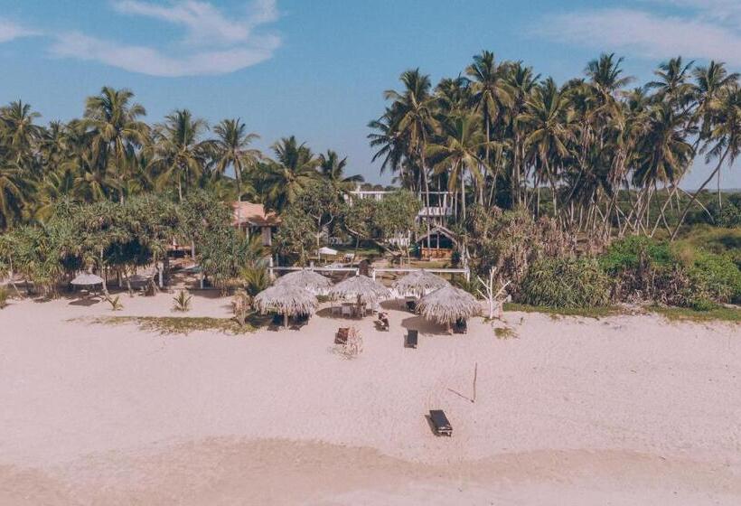 اتاق لوکس سه تخته, Nirvana Beach Boutique