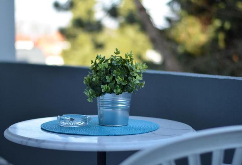اتاق استاندارد, Neu Heidelberg  Guesthouse & Apartments