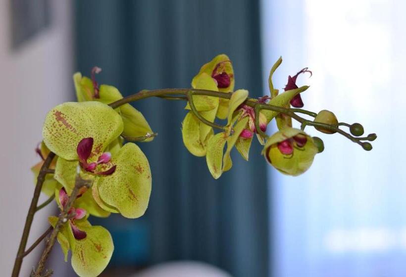 اتاق استاندارد, Neu Heidelberg  Guesthouse & Apartments