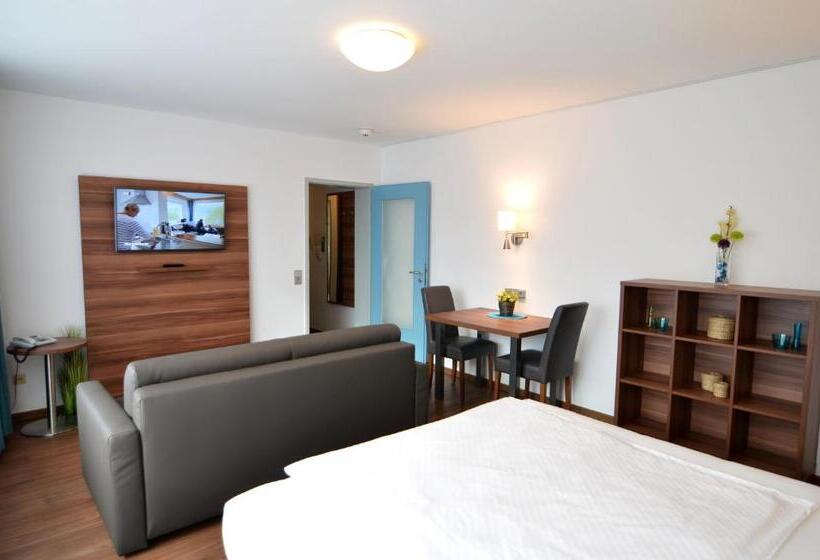 اتاق خانوادگی, Neu Heidelberg  Guesthouse & Apartments