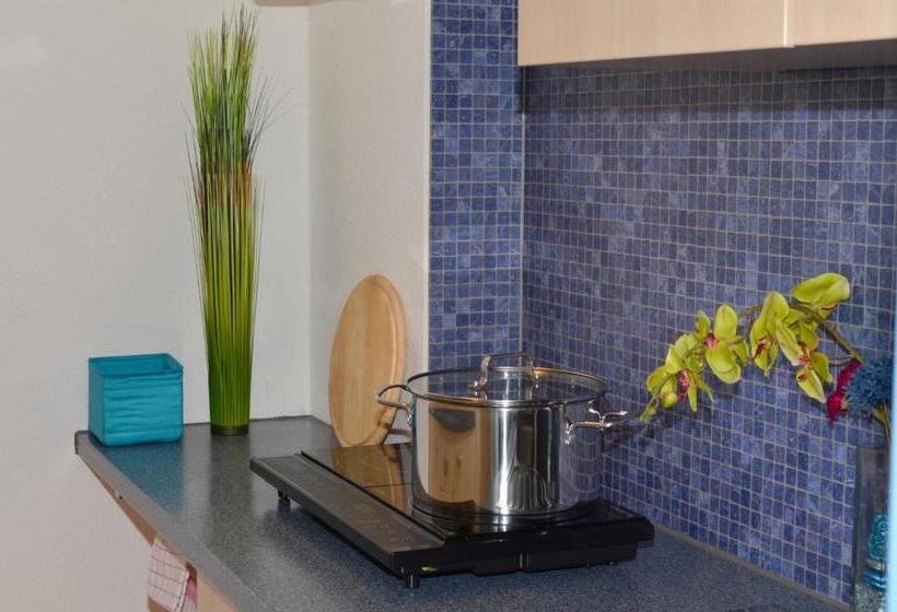 آپارتمان 1 خوابه, Neu Heidelberg  Guesthouse & Apartments