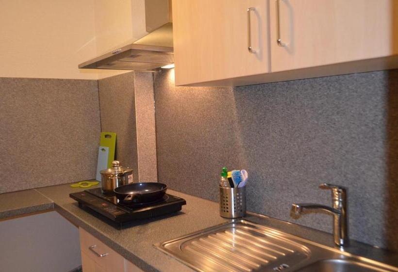 آپارتمان 1 خوابه, Neu Heidelberg  Guesthouse & Apartments