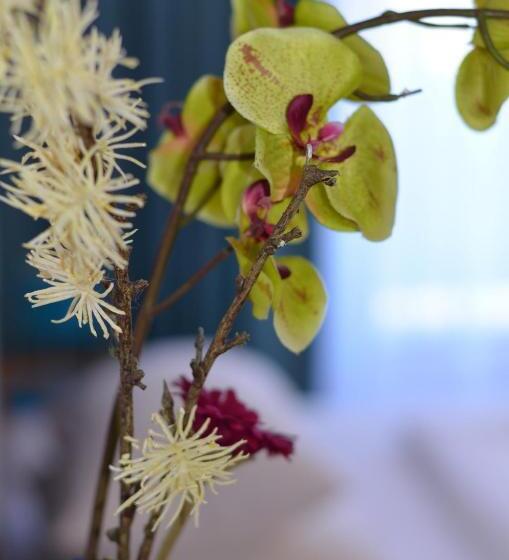 آپارتمان 1 خوابه, Neu Heidelberg  Guesthouse & Apartments