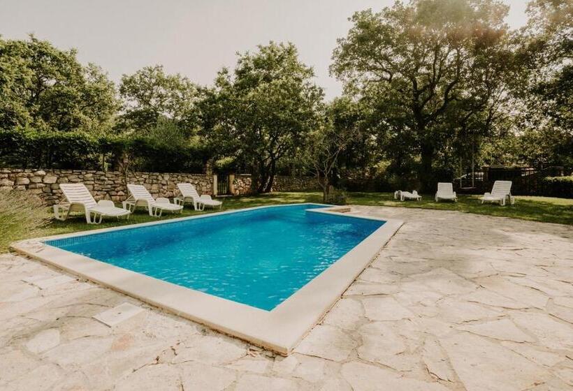اتاق استاندارد با چشم‌انداز, Bed And Breakfast Kolo Adults Only