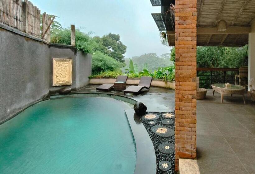 ویلا پریمیوم 1 خوابه, The Iyang Ubud