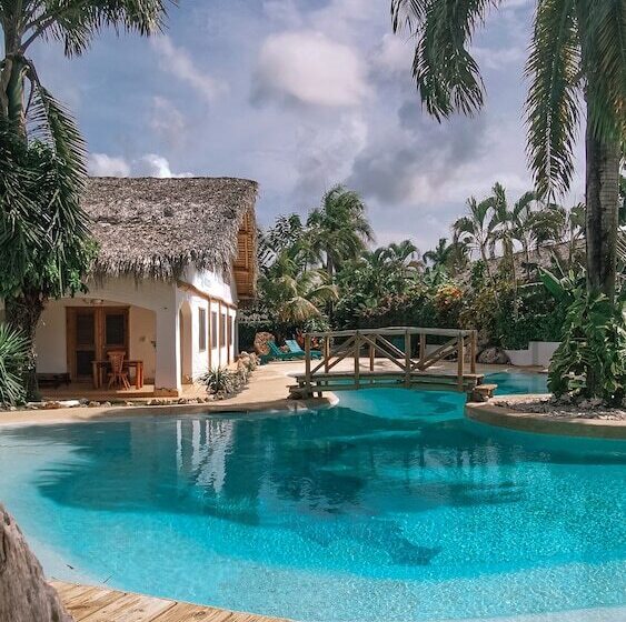 اتاق استاندارد, Paradiso Del Caribe