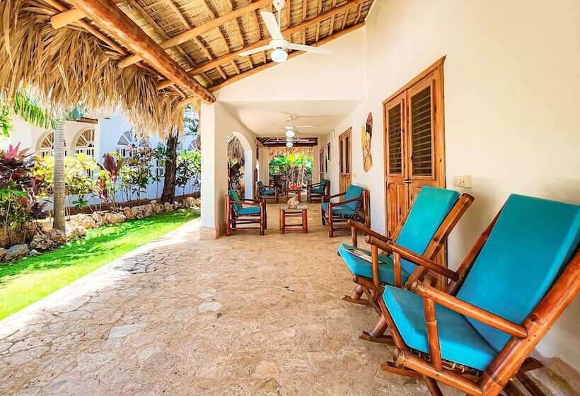 اتاق استاندارد, Paradiso Del Caribe