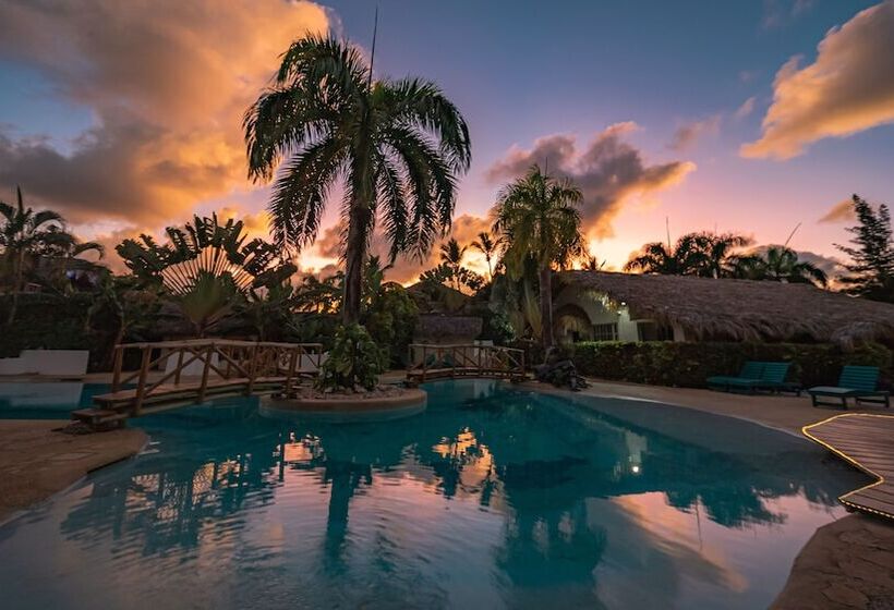اتاق سوپریور, Paradiso Del Caribe