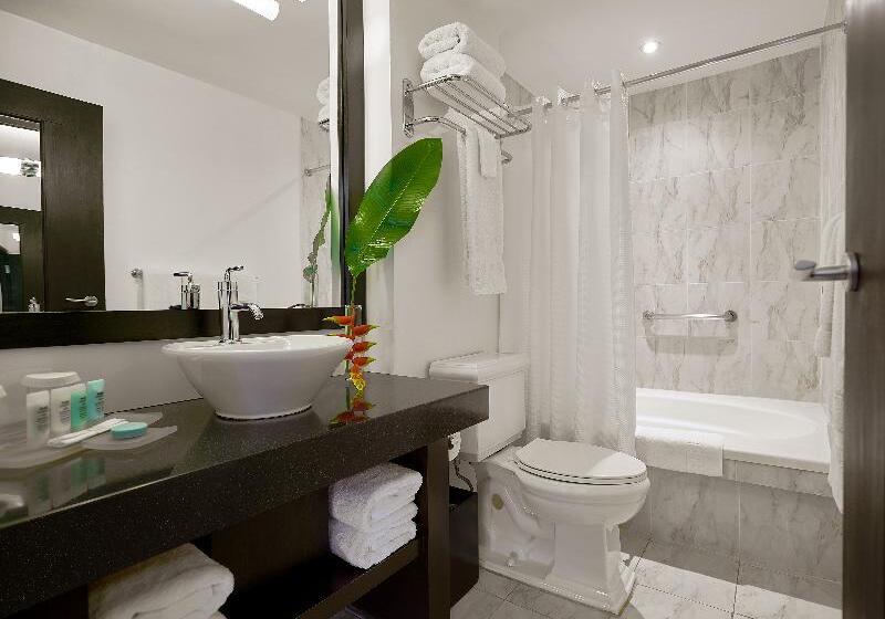 اتاق استاندارد, Drago Hostel