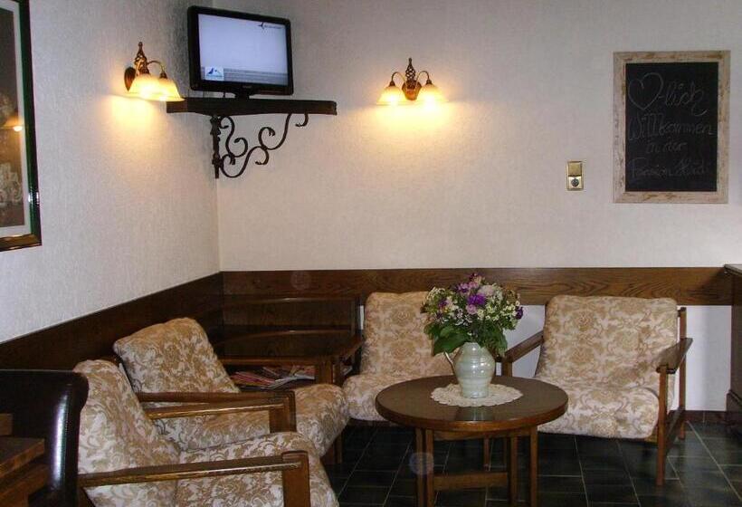 اتاق استاندارد یک نفره, Pension Heidi