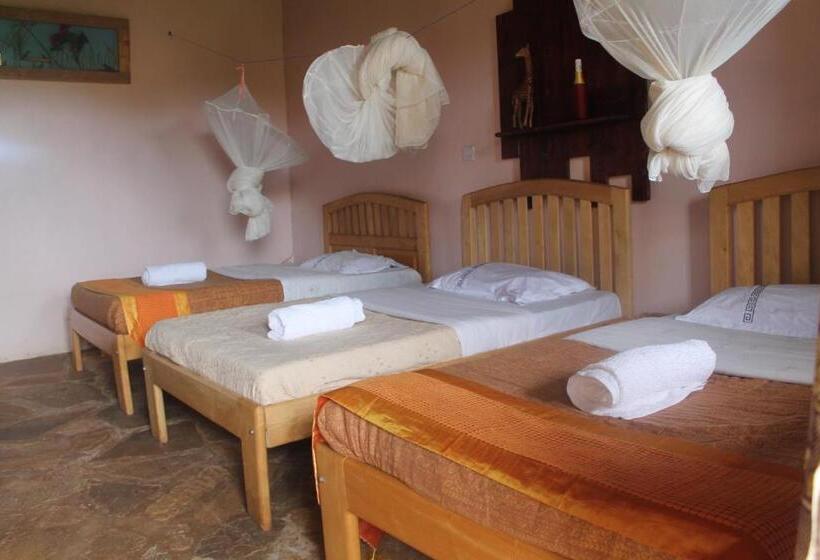 اتاق استاندارد سه نفره, Gorilla African Guest House