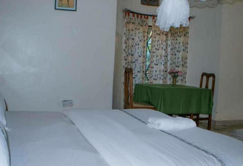 اتاق استاندارد یک نفره, Gorilla African Guest House