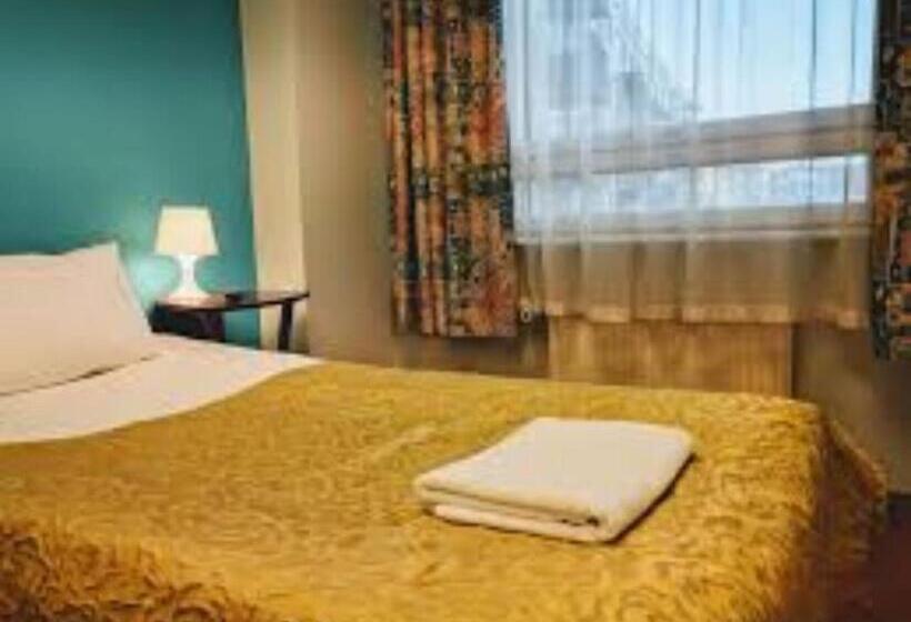 اتاق استاندارد یک نفره, Gorilla African Guest House
