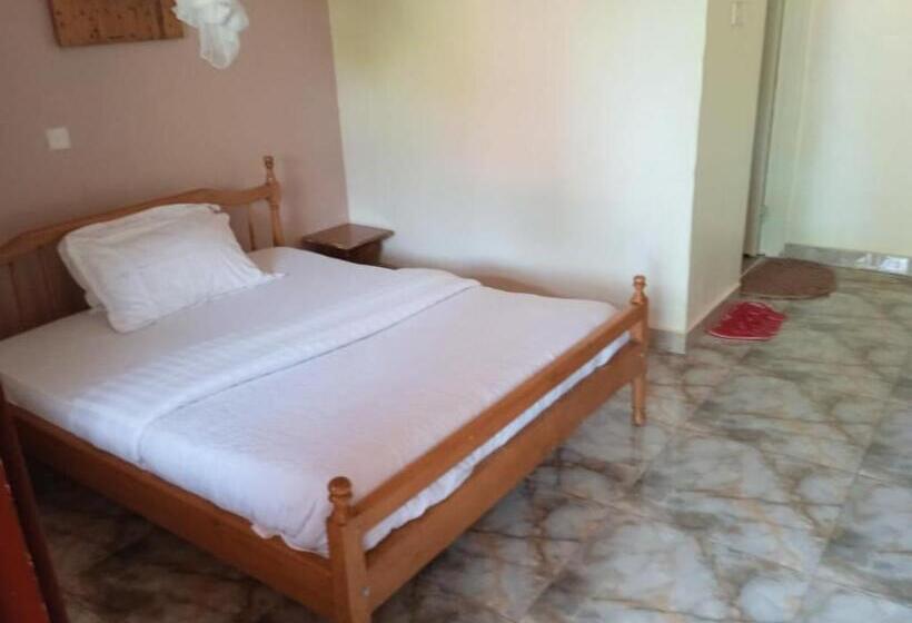 اتاق اکونومی یک تخته, Gorilla African Guest House