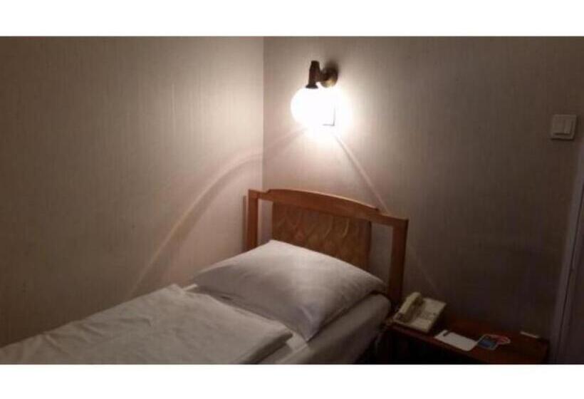 اتاق اکونومی یک تخته, Gorilla African Guest House