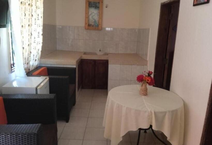 آپارتمان 2 خوابه, Gorilla African Guest House
