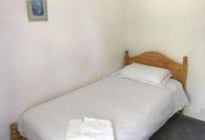 اتاق اکونومی یک تخته, Gorilla African Guest House