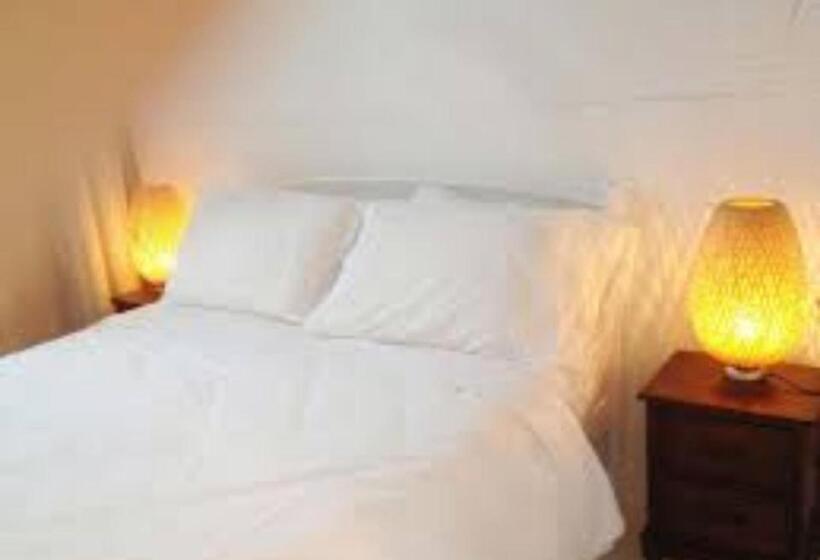 اتاق اکونومی یک تخته, Gorilla African Guest House