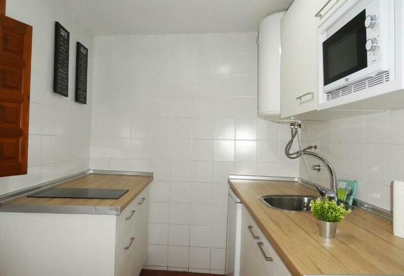 1 Bedroom Apartment, Apartamentos Nahira Suites 3000