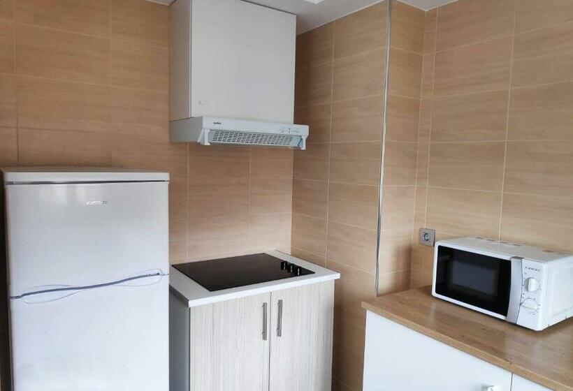 آپارتمان 1 خوابه, Apartamentos Playa De La Lanzada 3000