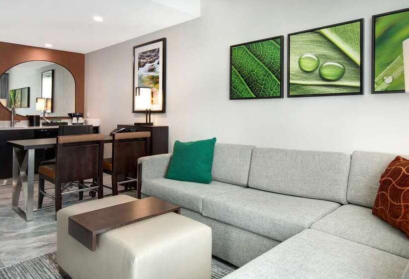 سوییت, Homewood Suites By Hilton Detroit
