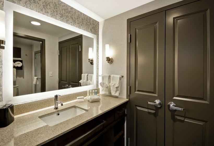 سوییت, Homewood Suites By Hilton Detroit