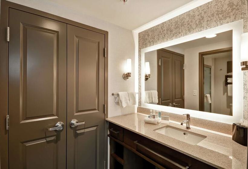 سوییت, Homewood Suites By Hilton Detroit
