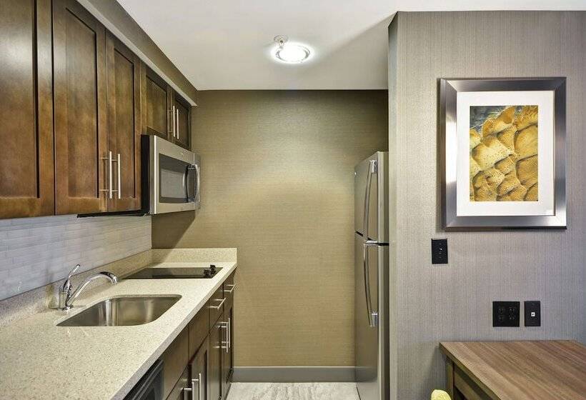 سوییت, Homewood Suites By Hilton Detroit