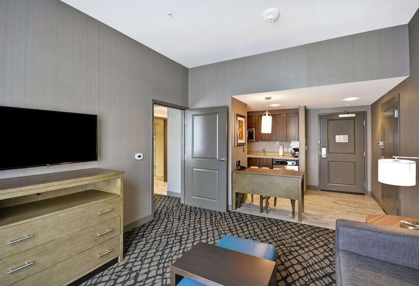 سوییت, Homewood Suites By Hilton Detroit