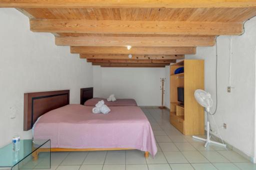 اتاق استاندارد با 2 تخت دوبل, Posada San Javier