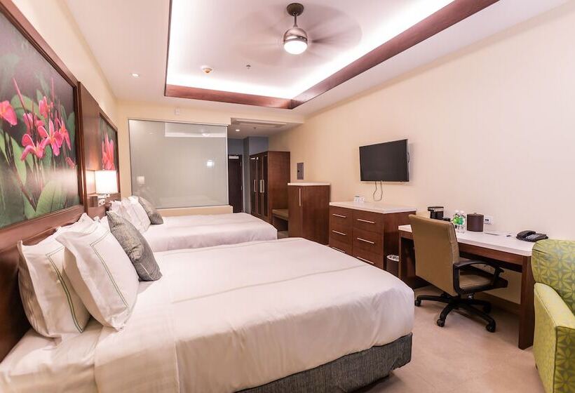اتاق اجرایی, Surfrider Resort