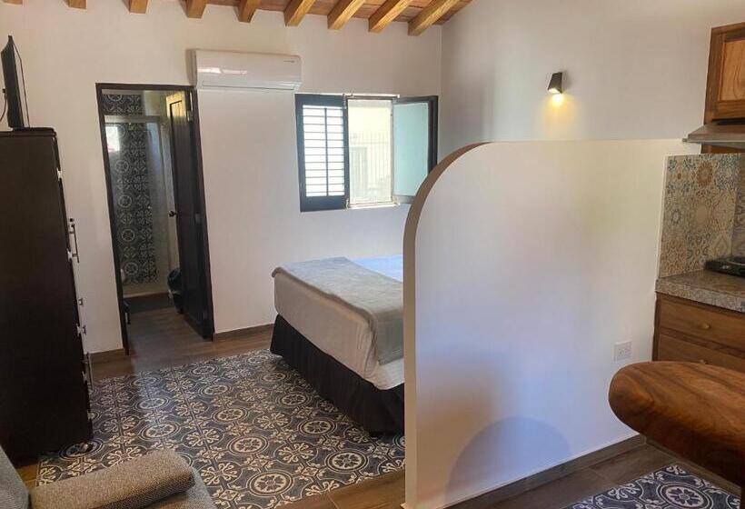 آپارتمان 1 خوابه, Villa Serena Centro Historico
